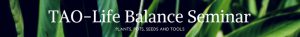 Tao-Life Balance Seminar Banner