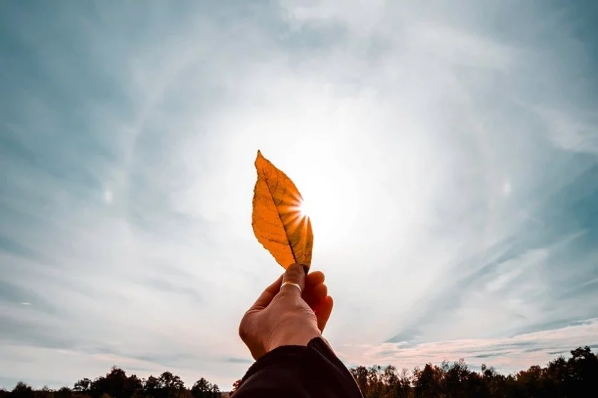 Ein Kurs in Wundern Lektion 204 Andreas Frenzel