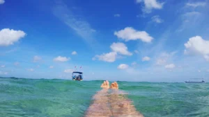 Egoist Andreas Frenzel